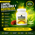 CANDIDA CLEANSE - Clickmarket